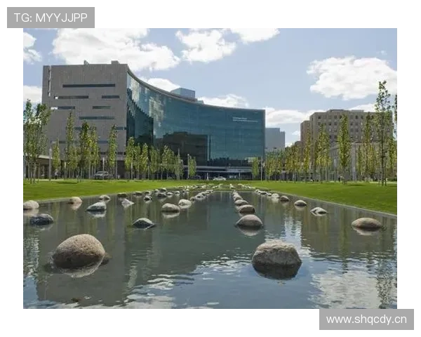 亚博YaBo线上登陆平台介绍，全面了解平台特色与服务优势