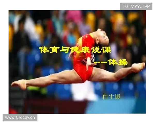 最新版本的星空体育全站应用功能详解与使用指南