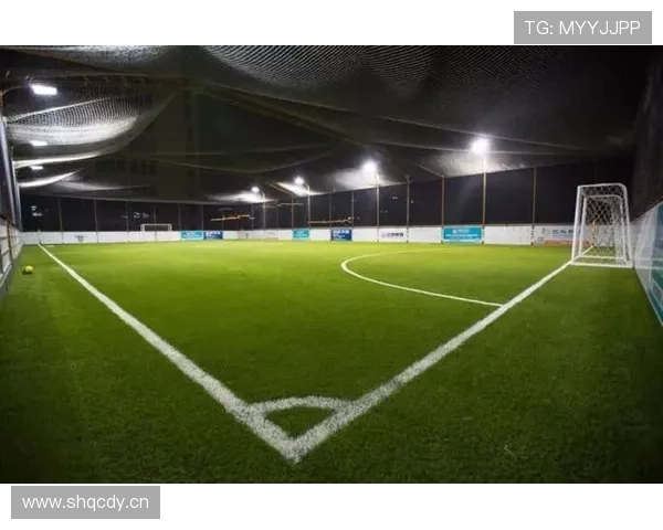 星空体育app官网正式下载入口，绿色安全便捷的下载安装方式